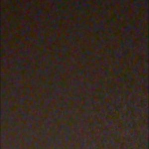 Meet your Posher, Tanner